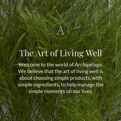 Archipelago Botanicals Black Forest Reed Diffuser, Home Fragrance Reed Diffuser, Includes Fragrance Oil, Decorative Wooden Cap & 10 Diffuser Reeds, Perfect for Home, Office or Gift, 7.85 fl oz