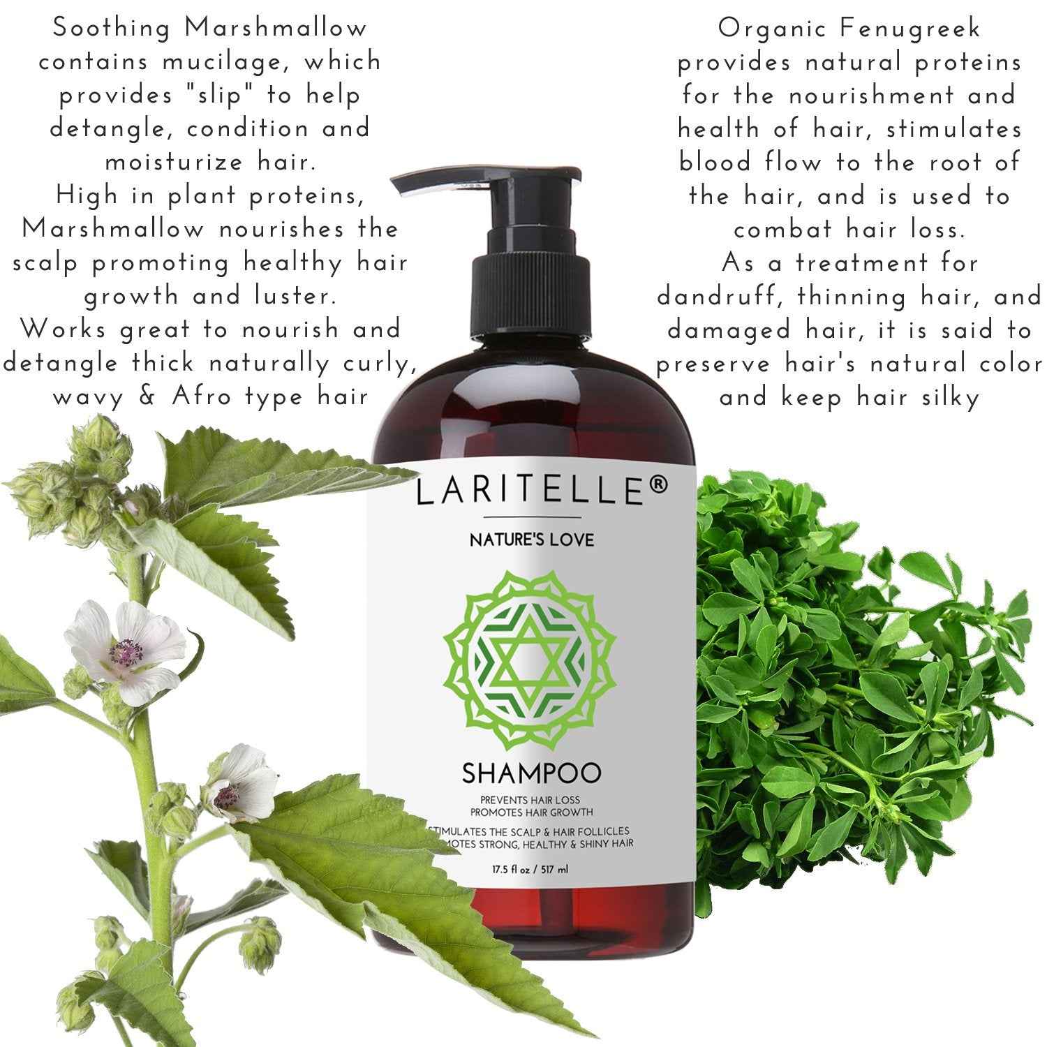 Laritelle Organic Shampoo 17.5 oz | Organic Quinoa + Keratin + Follicle Stimulating Rosemary, Ginger & Grapefruit | Hair Loss Prevention, Clarifying, Softening, Strengthening | NO GMO. Vegan