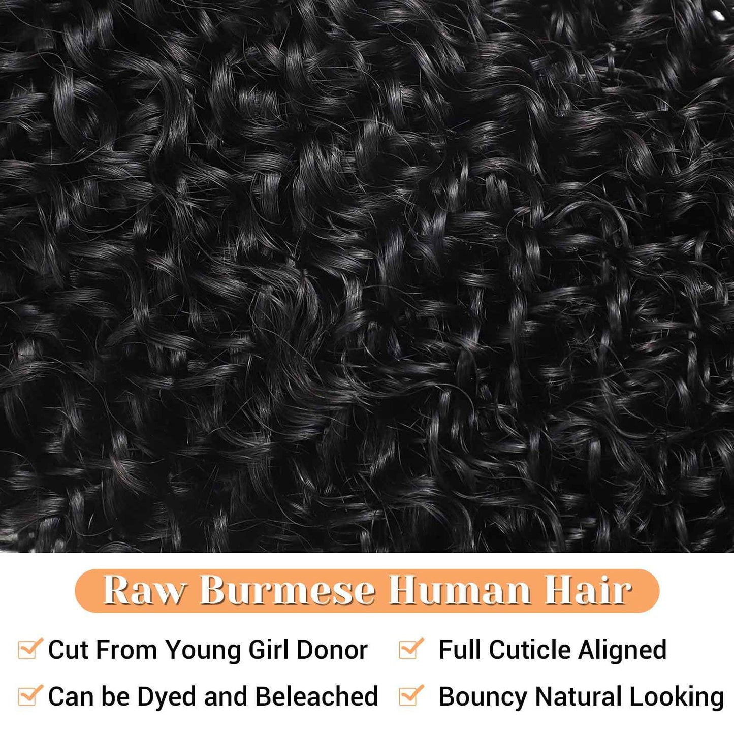 13x6 Frontal Human Hair Burmese Curly HD Transparent Lace Ear to Ear Lace Frontal Closure With Baby Hair Free Part 100% Virgin Human Hair Natural Black 14 Inch
