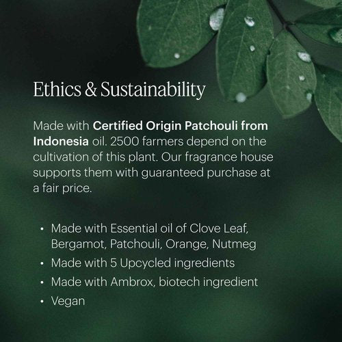 Aera Moondance - Essential Oil for Home- Warm and Alluring Fragrance - Notes of Iris, Bergamot, Amber and Vanilla - Scent Refill - Works with The Aera Diffuser