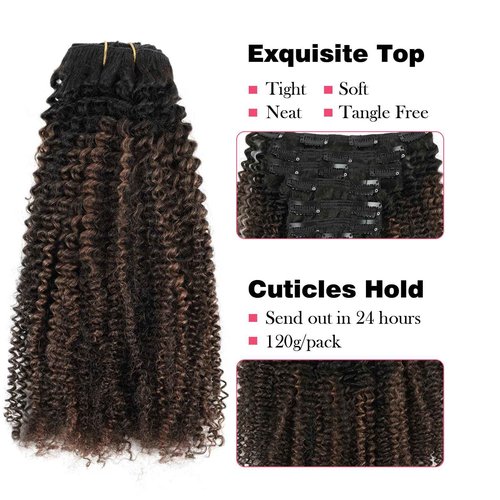 Sassina Afro Curly Clip ins Hair Extensions Two Tone Real Hair Extensions Clip in Human Hair Natural Black to Chocolate Brown Double Weft Clip in Hair Extensions 20 Inch 7 Pcs with 17 Clips 120 Grams…