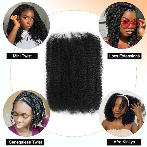 Afro Kinkys Bulk Human Hair For Twist 20 Inch Kinky Curly Human Hair Natural Black For Mini Twists Micro Locs Dreadlock Extensions(20inch 2 Bundles, 1B)