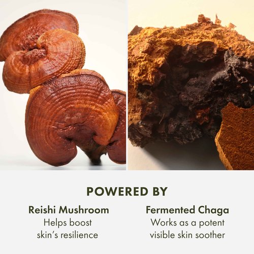 Origins Mega-Mushroom Soothing Treatment Lotion | Great for Sensitive Skin | With Reishi Mushroom, 3.4 Fl Oz (Pack of 2)