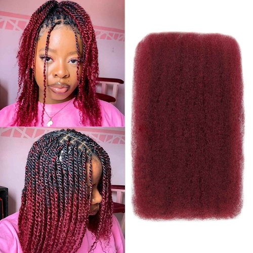 BLL Afro Kinkys Bulk Human Hair-100% Human Hair for Mini Twist Braiding Dreadlock Loc Extensions Afro Kinky Curly Hair Bulk Black Color (99J, 22 Inch Pack Of 1)