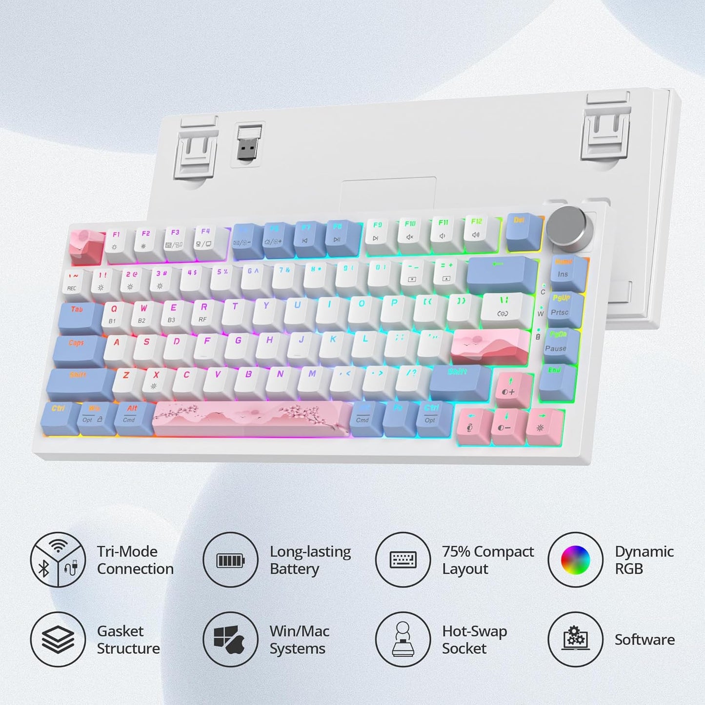 400PRO 75% Wireless Black Blue Gaming Keyboard, Gasket Hot Swappable RGB Mechanical Keyboard, Bluetooth/2.4GHz/USB-C Thocky Keyboard with Pre-lubed Cream Grey Switches (82 Black Blue-B)