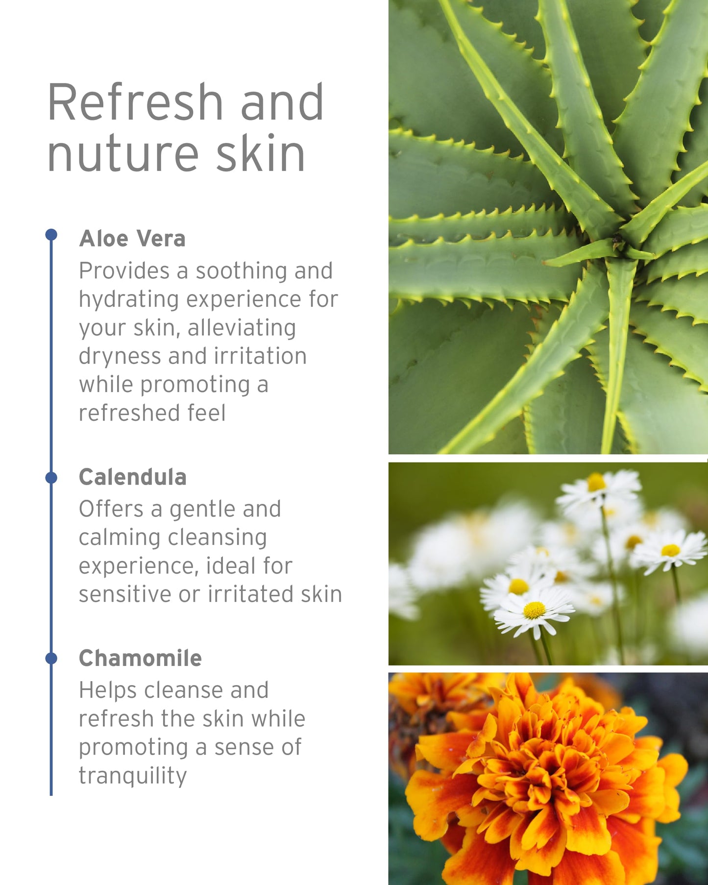 Kerstin Florian Chamomile Shower and Bath Gel | Aromatherapy Body Wash (32 fl oz)