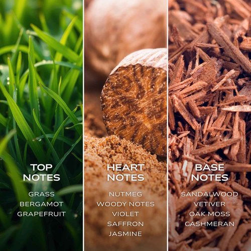 Intelligent Carbon | The Perfect Date Night Fragrance | Sexy, Sweet & Extremely Unique | Eau de Parfum for Men | 3.4 Fl Oz (100 mL)