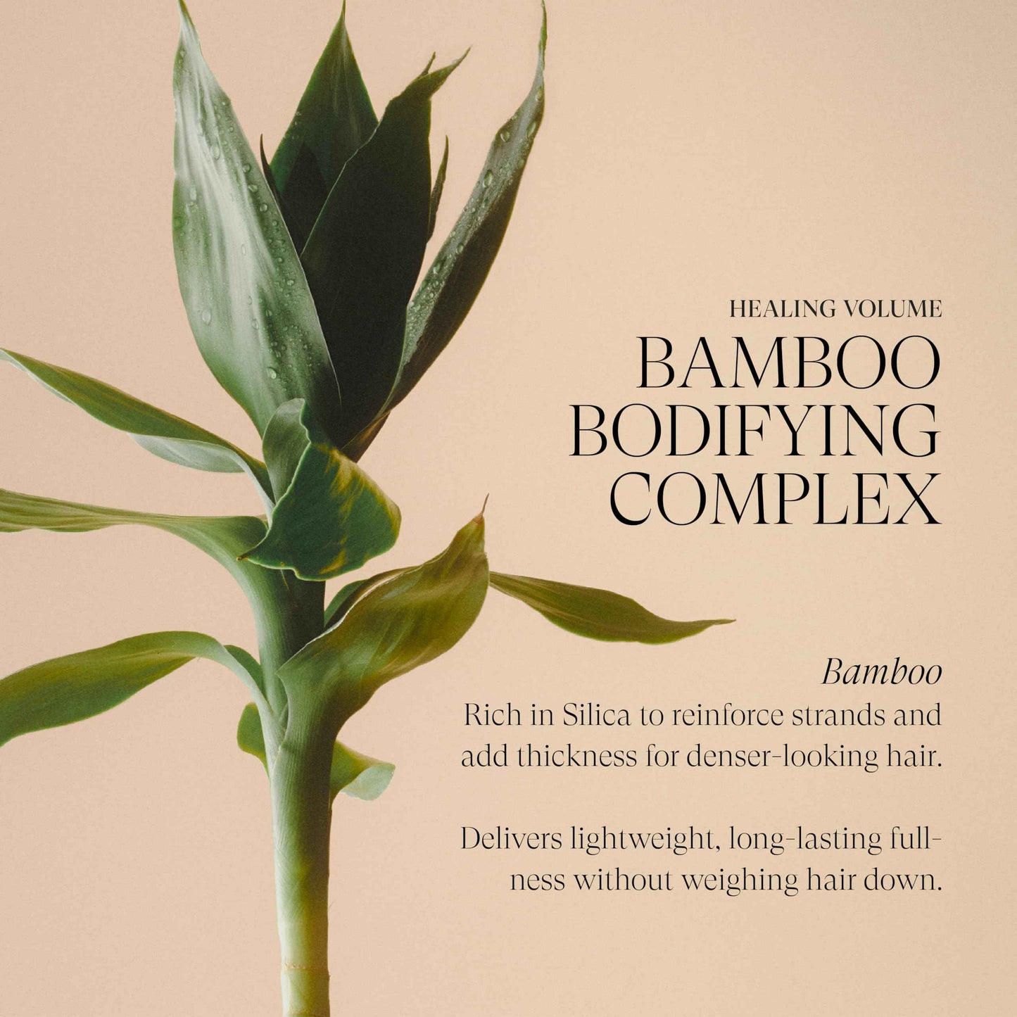 L'ANZA Healing Volume Thickening Shampoo, Boosts Shine, Volume, and Thickness for Fine and Flat Hair, Rich with Bamboo Bodifying Complex and Keratin (33.79 Fl Oz)