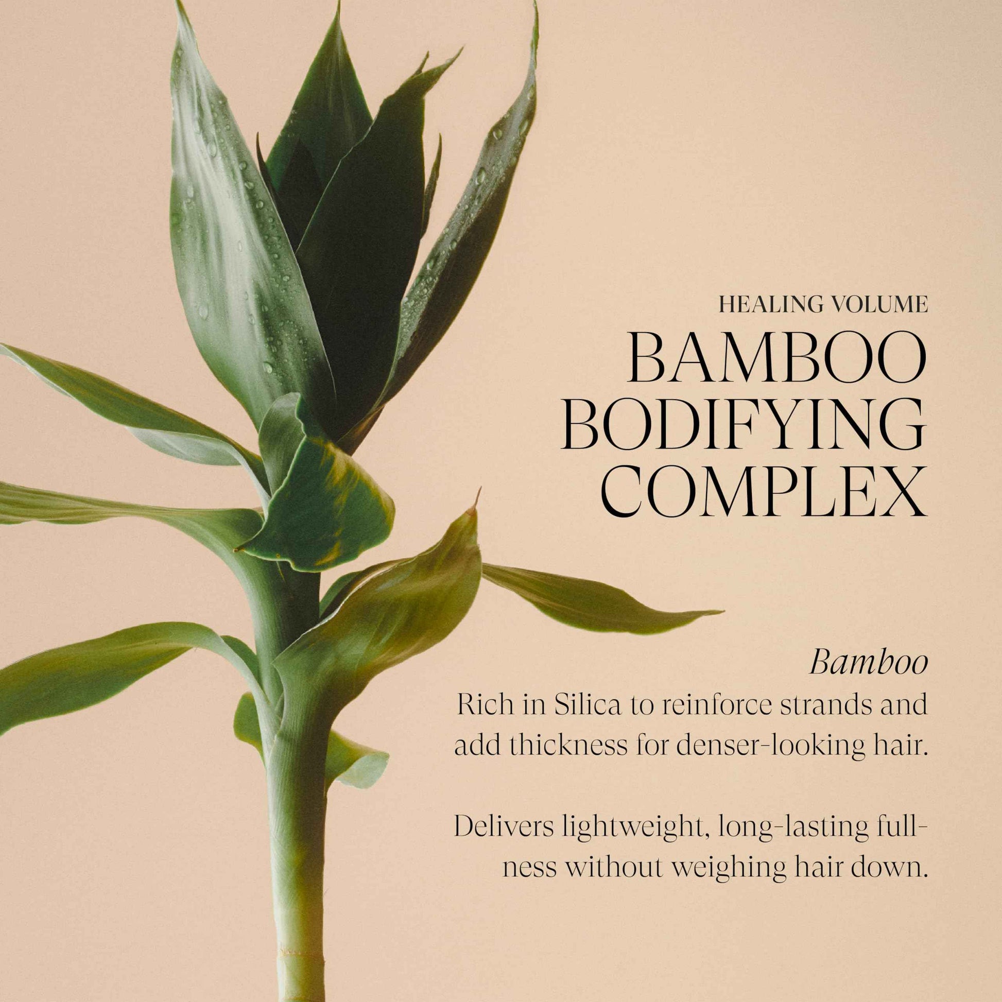 L'ANZA Healing Volume Thickening Shampoo, Boosts Shine, Volume, and Thickness for Fine and Flat Hair, Rich with Bamboo Bodifying Complex and Keratin (33.79 Fl Oz)