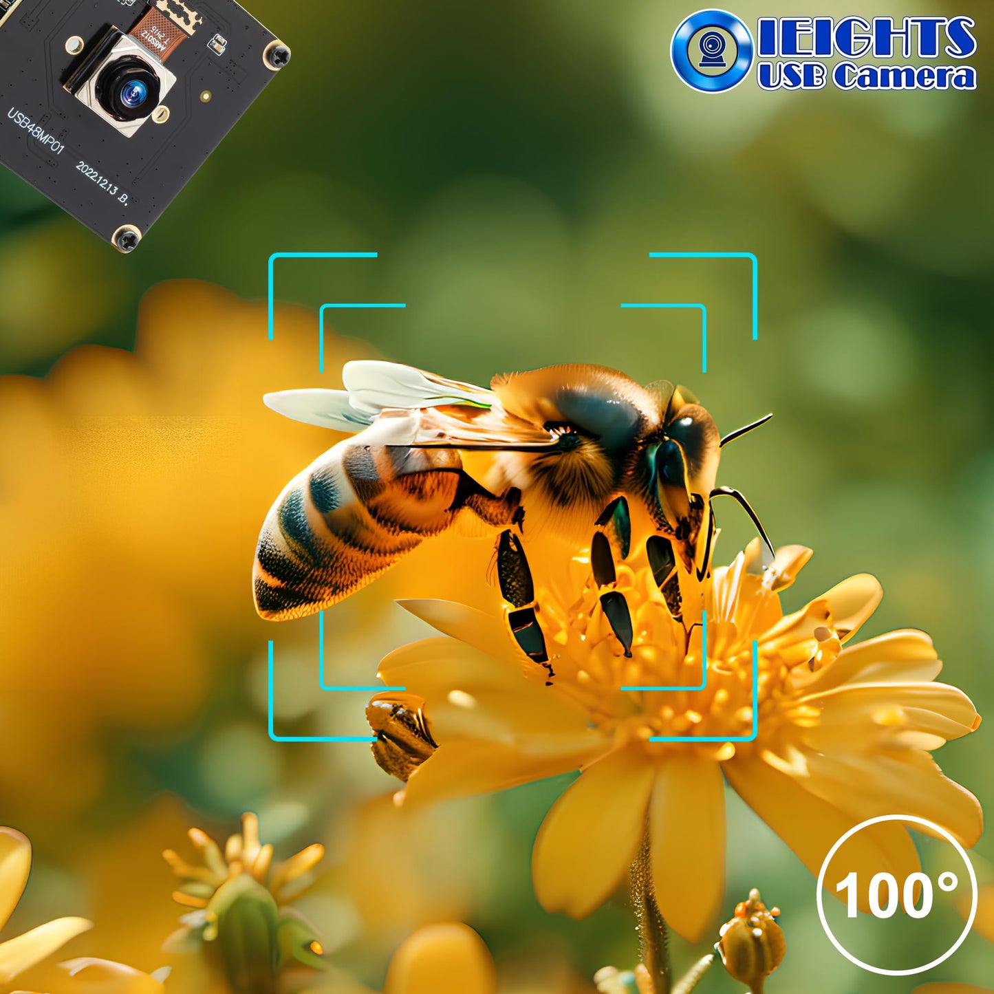 48MP Wide Angle USB Camera Module 200ms Fast Autofocus Webcam Board 100degree No Distortion Lens PC Camera Mini UVC USB2.0 Backup Cam UHD Second Webcamera 6000P Lightburn_Cam for Laser Engraver