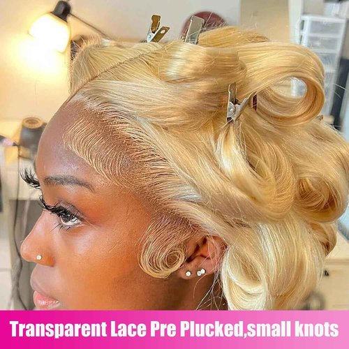 Alielaine 613 13x6 Lace Front Wig Human Hair Transparent Lace Body Wave Blonde Lace Front Wigs Human Hair 613 HD Lace Frontal Wig 200% Density Blonde Wig (22 Inch, 613 13x6 Body Wave Wigs)