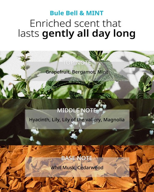 FIT YOUR SKIN SAN TTEUT Scalp Refreshment Hair Shampoo + SAN TTEUT Scalp Refreshment Hair Shampoo + Star Shine Hair Essence Bundle