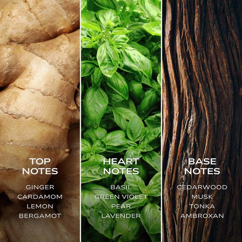 Intelligent Hydrogen Eau de Parfum | Cologne for Men | Fresh, Playful, and Elegant | 3.4 Fl Oz (100 mL)