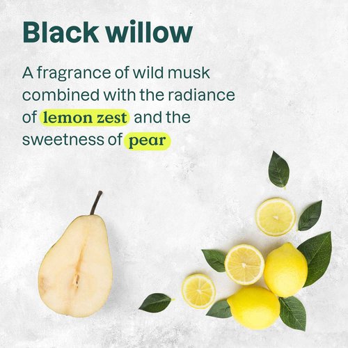 ATTITUDE 2in1 Shampoo and Body Wash, EWG Verified, Plant and Mineral-Based, Vegan Personal Care Products, Black Willow and Aspen, 16 Fl Oz (Pack of 6)