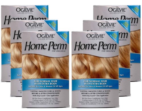 Ogilvie Salon Styles Home Perm The Original - For Color Treated, Normal Hair - 6 pc
