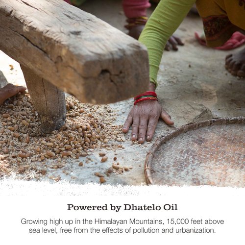 Tweak’d by Nature - Restore Hair Strengthening Shampoo for Damaged Hair, Moisturizing Shampoo, Sulfate Free, Paraben Free, Hydrating Hair Care for Instant Shine and Softness (33.8oz)