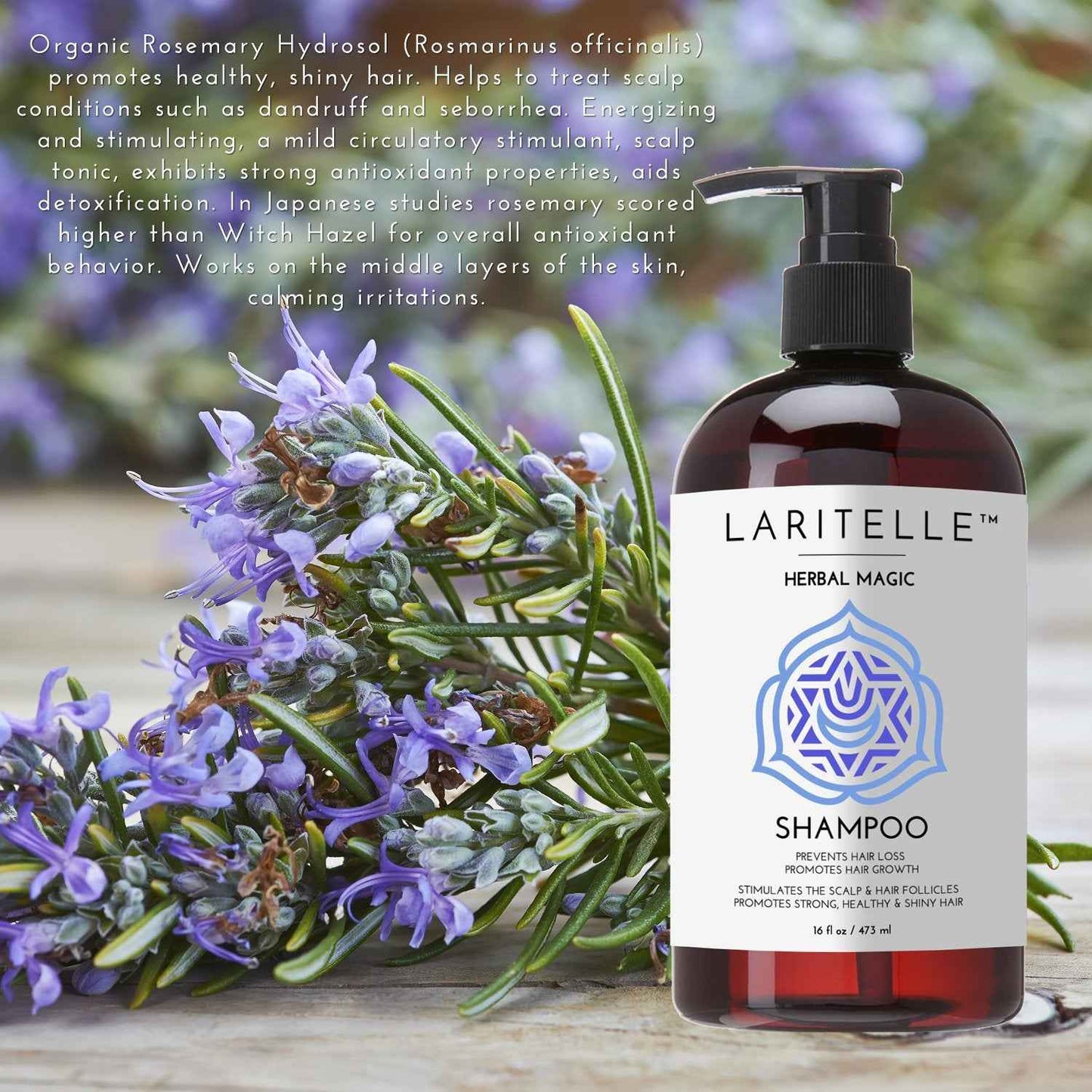 Laritelle Organic Unscented Shampoo | Hair Strengthening & Clarifying | Hypoallergenic, Sulfate-Free | With Rosemary & Saw Palmetto