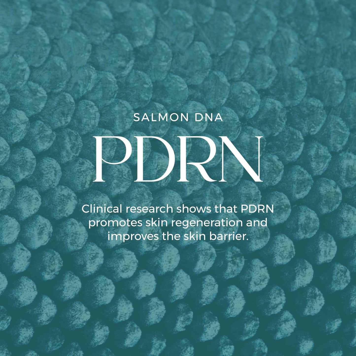 LumEnvy Salmon DNA Glass Skin Serum - Hydrating Korean Skincare Face Serum with PDRN, Niacinamide & Centella Asiatica | Brightening, Dry Skin, Anti-Aging, Dark Spots & Wrinkles | 30ml