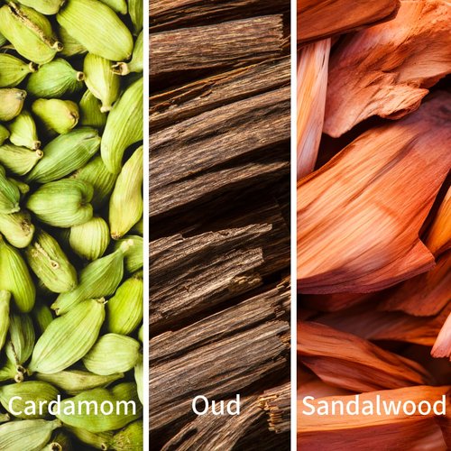 INDIRA Oud Mystwood - Eau De Parfum - Woody - Unisex - 100 ML / 3.4 FL OZ - Spray