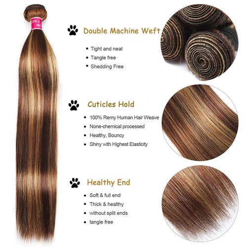 Realloves Highlight Ombre Human Hair Bundles with Closure 10A Highlight Brown Blonde 3 Bundle with 4X4 Closure Free Part (12 14 16+12Inch) Soft Straight Honey Brown Bundles Human Hair