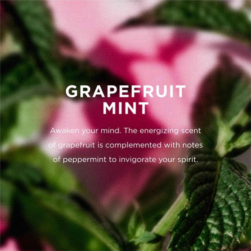 EO Conditioner, 1 Gallon, Grapefruit and Mint, Organic Plant-Based, Botanical Extracts