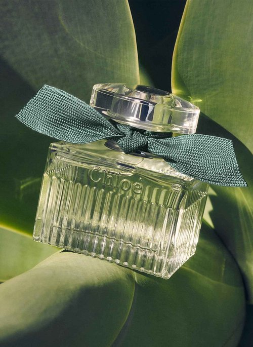 Chloe Rose Naturelle Intense by Chloe for Women - 1.6 oz EDP Spray