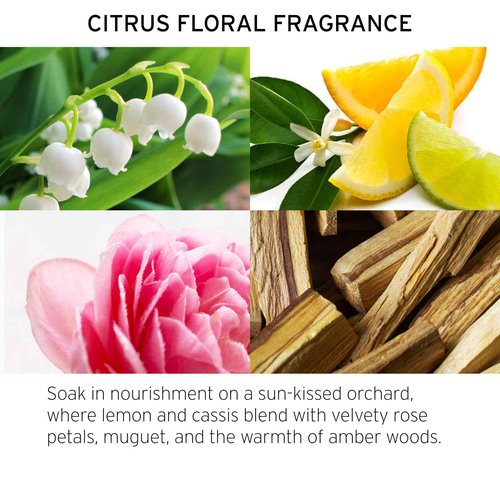 Fekkai Technician Color Shampoo - 8.5 oz, Pack of 2 - Extends Vibrancy of Color-Treated Hair - Free of Sulfates, Parabens, Phthalates - Vegan, Cruelty-Free