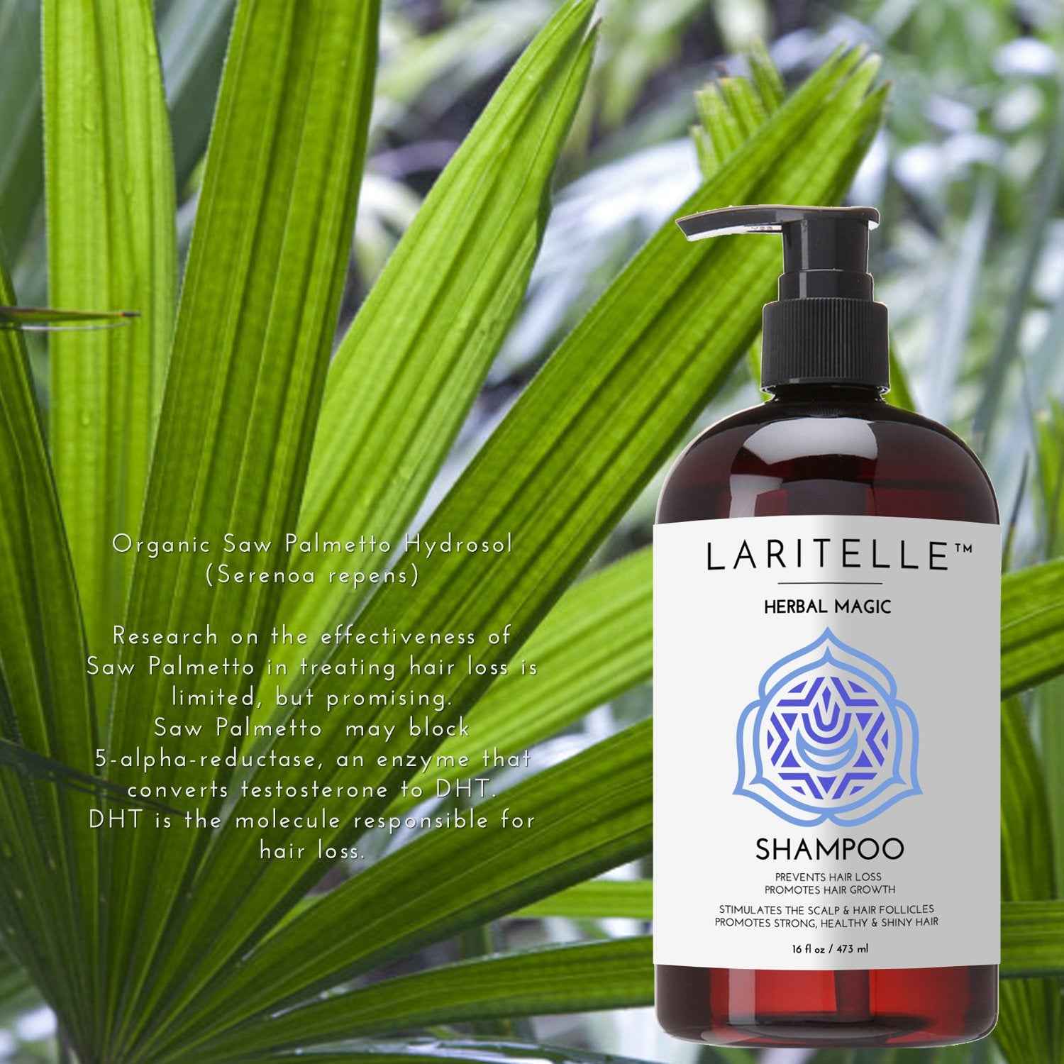 Laritelle Organic Unscented Shampoo | Hair Strengthening & Clarifying | Hypoallergenic, Sulfate-Free | With Rosemary & Saw Palmetto
