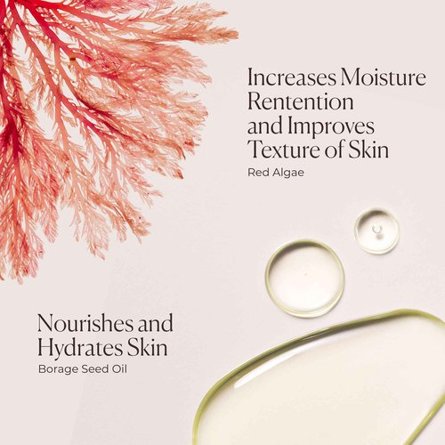 Laura Mercier Delicious & Decadent Ambre Vanille Collection, Serum Body Cream with 48HR Hydration, Hydrating Body Wash to Soften and Smooth Skin, Honey Bath Gel, Foaming Bubble Bath, Holiday Gift Set