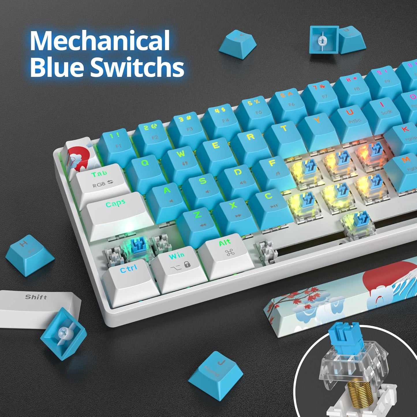 60 Percent Gaming Keyboard Portable 61 Keys Mechanical Keyboard Compact Wired Keyboard RGB Backlit for PC Laptop Gamer(61 Blue/Blue Switch)