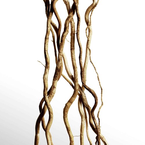 Davidoff Cool Water Odyssey Parfum 1.7 fl oz