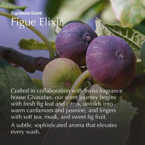 HIKOTA Complete Cleansing Hair Treatment - Sulfate-free 2-in-1 Shampoo and Conditioner with Amino Acid to Repair and Hydrate - 10.1 oz