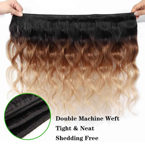Brazilian Virgin Hair Body Wave Ombre Human Hair 3 Tone, 3 Bundles Ombre Brazilian Hair Extensions (T1B/4/27, 14" 16" 18")