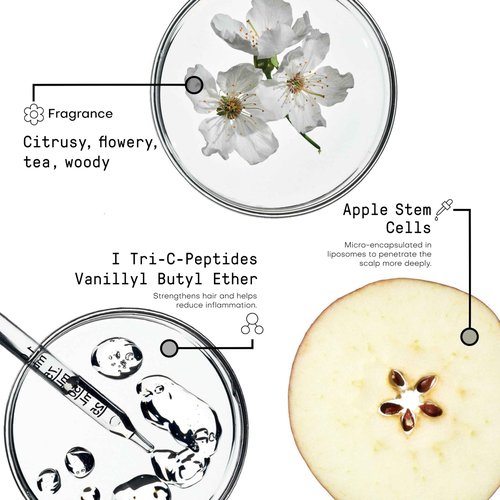 FRAMESI Morphosis Densifying Activator, Treatment for Thinning Hair