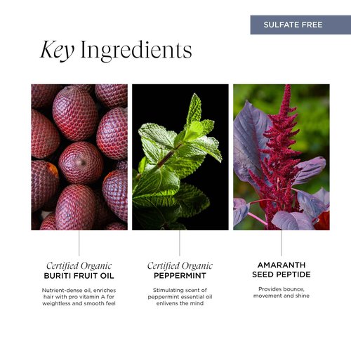 Intelligent Nutrients InspiraMint Shampoo, Invigorating Organic Mint Daily Shampoo for Fine and Oily Hair, Balancing, Refreshing, Color-Safe, Vegan, 32 Fl Oz