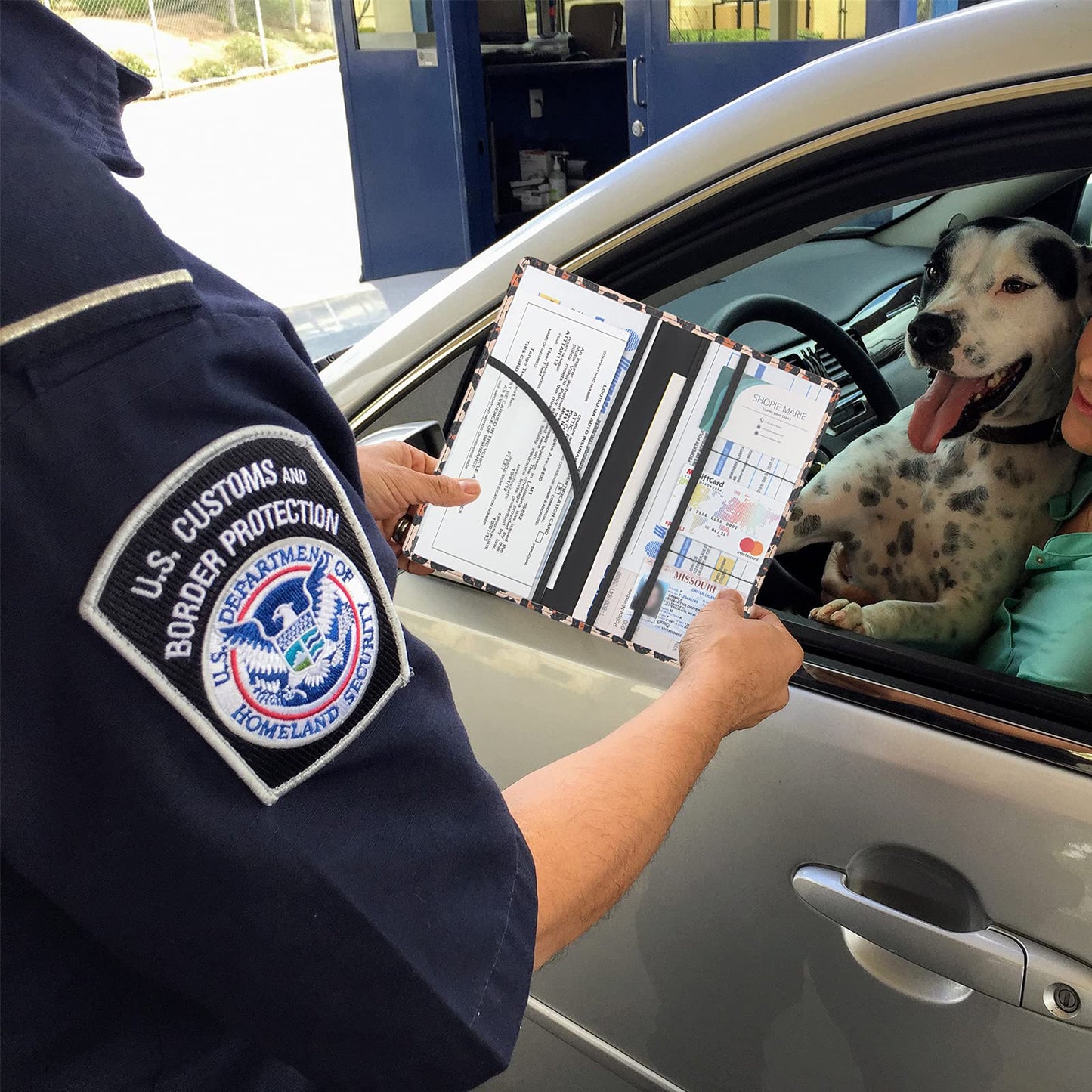 LumiMokki Premium Car Registration & Insurance Card Holder with Magnetic Shut, Vehicle Glove Box Car Organizer - For Documents, Cards, License (Leopard A)