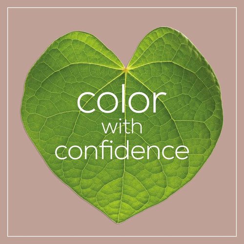 Naturtint - Hair Color Women 2N Brown Black - 5.45 Fluid Ounces (3Pack)