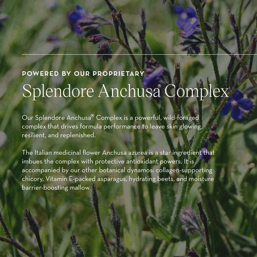 Furtuna Skin Micellar Cleansing Essence Water - Dual-Use Cleanser & Toner, Nutrient-Rich, pH Balanced, Organic Botanicals, Dermatologist Approved