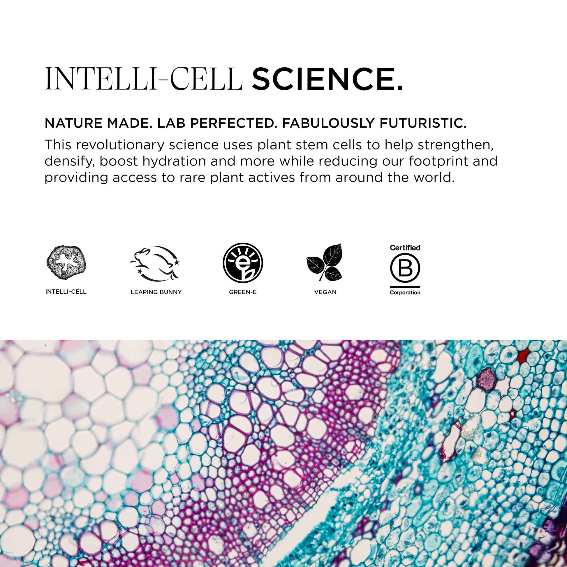 Pure Plenty Conditioner Boosts Volume and Shine for Fine, Thinning Hair, Organic Replenishing Formula, Vegan, 8.5 Oz