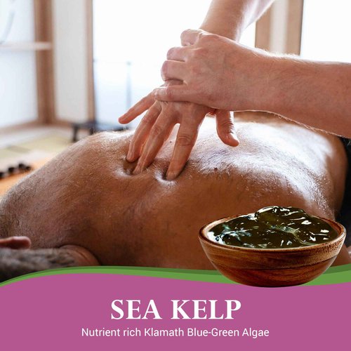 Lotus Touch Seaweed Gel Showerless Body Wrap Sea Kelp & Klamath Blue-Green Algae to Hydrate & Detoxify - Aloe Vera Oil, Vitamin E & Lavender - Excellent Results With or Without a Wrap - 1 Gallon