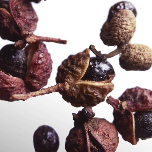 Davidoff Cool Water Odyssey Parfum 1.7 fl oz