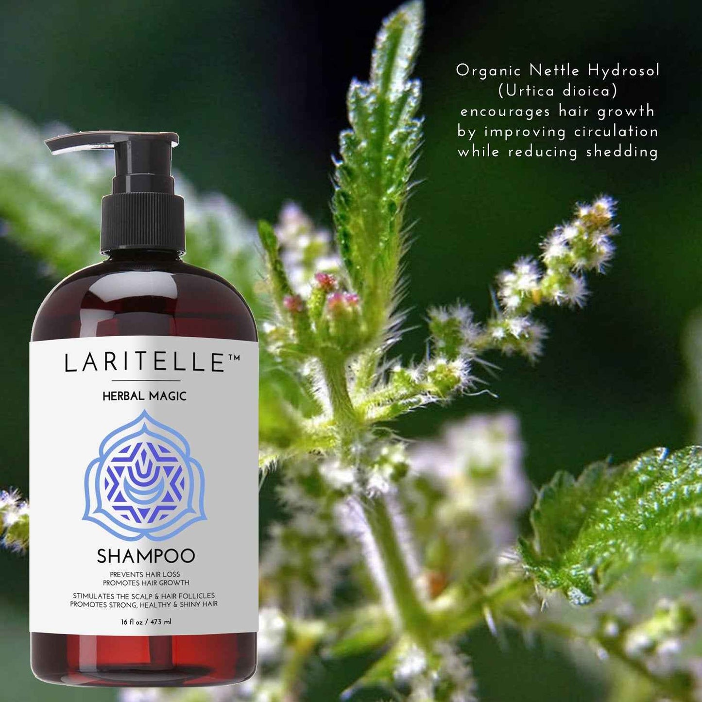 Laritelle Organic Unscented Shampoo | Hair Strengthening & Clarifying | Hypoallergenic, Sulfate-Free | With Rosemary & Saw Palmetto