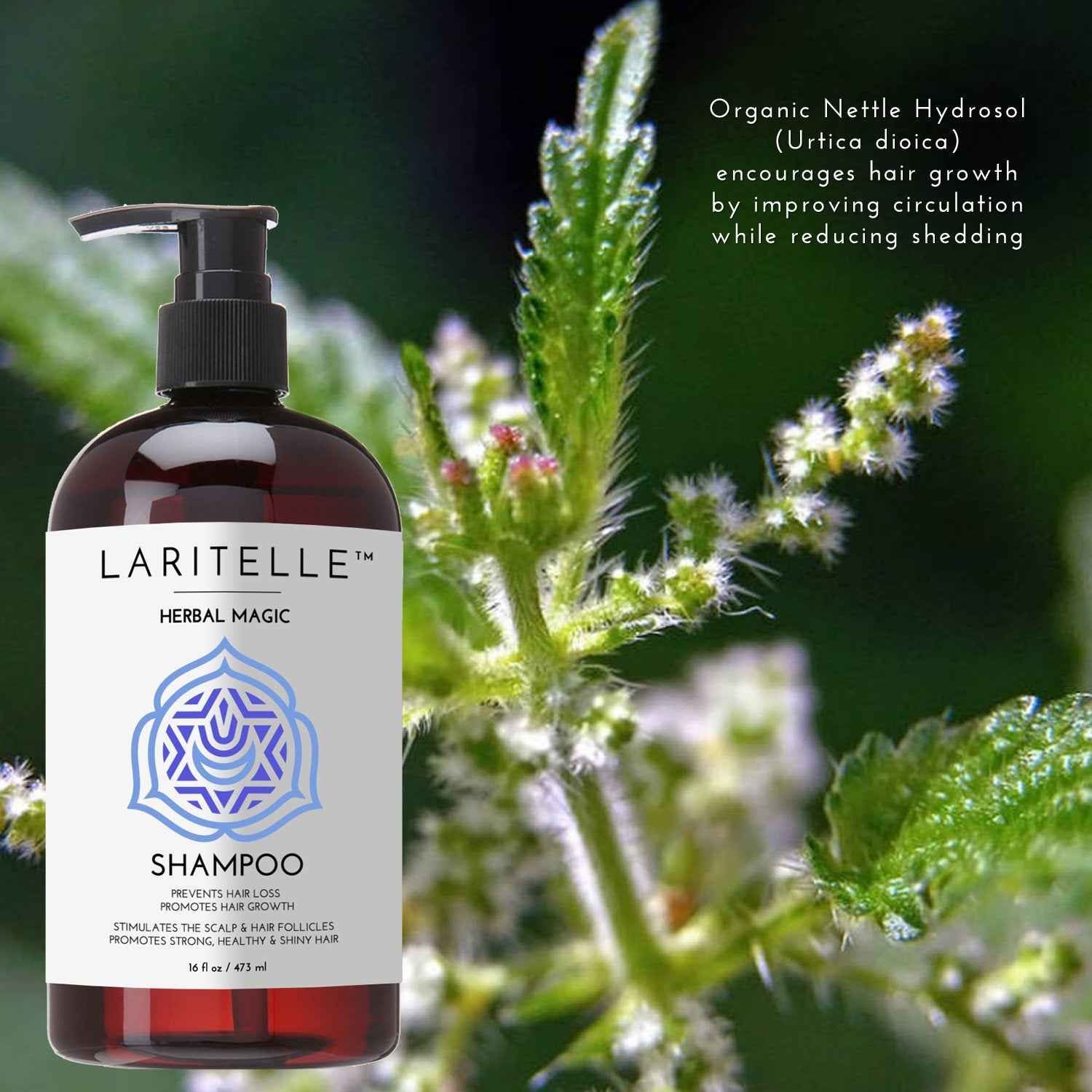 Laritelle Organic Unscented Shampoo | Hair Strengthening & Clarifying | Hypoallergenic, Sulfate-Free | With Rosemary & Saw Palmetto