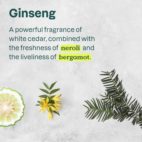 ATTITUDE Body Cream, EWG Verified Moisturizer, Vegan Moisturizing Products For Dry Skin, Dermatologically Tested, Ginseng and Grapeseed Oil, 8 Fl Oz (Pack of 6)