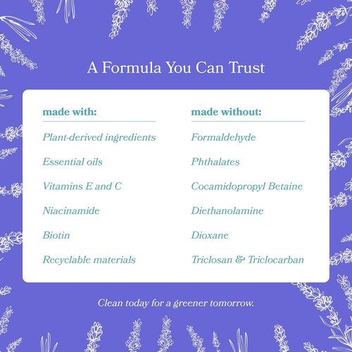 ZYFE Lavendar Hand Soap Refill 6-pack [3 Gallon] Liquid Hand wash Refill Gallon - Natural Plant Derived Moisturizing Handsoap with Essential Oil Fragrance - Bulk for School Office Airbnb Gym