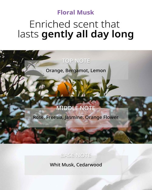 FIT YOUR SKIN SAN TTEUT Scalp Refreshment Hair Shampoo + SAN TTEUT Scalp Refreshment Hair Shampoo + Star Shine Hair Essence Bundle