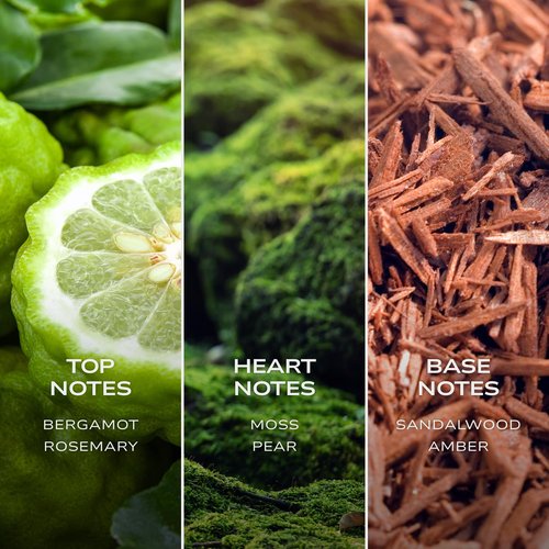 Intelligent Cobalt Eau de Parfum | Cologne for Men | Enticing, Intoxicating, Fierce | 3.4 Fl Oz (100 mL)