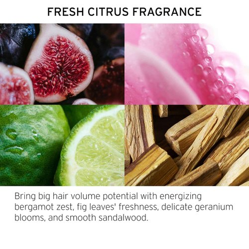 FEKKAI Brilliant Gloss Travel Bundle - Full Blown Volume Shampoo (2 oz) and Conditioner (2 oz), Brilliant Gloss Glass Hair Anti-Frizz Oil Serum (3.4 oz) + Full Blown Volume Texturizer (1.7 oz)