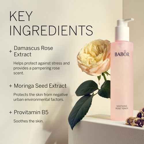BABOR Soothing Rose Toner & Refining Enzyme Vitamin C Cleanser Bundle