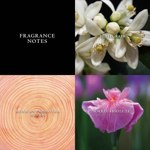 John Varvatos Men's Cologne, Artisan Pure Eau de Toilette EDT Spray, Citrus Woody Scent with Notes of Petitgrain, Orris Absolute & Mexican Primavera Wood, 2.5 fl oz